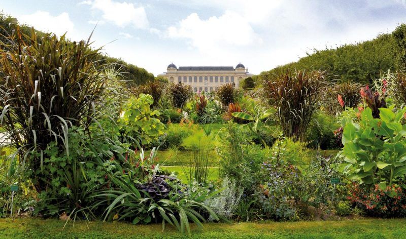 Ботанический сад Франции